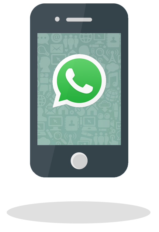 WhatsApp Check Online